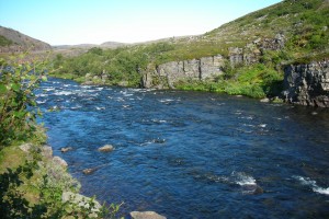 Kiongsfiord 2009